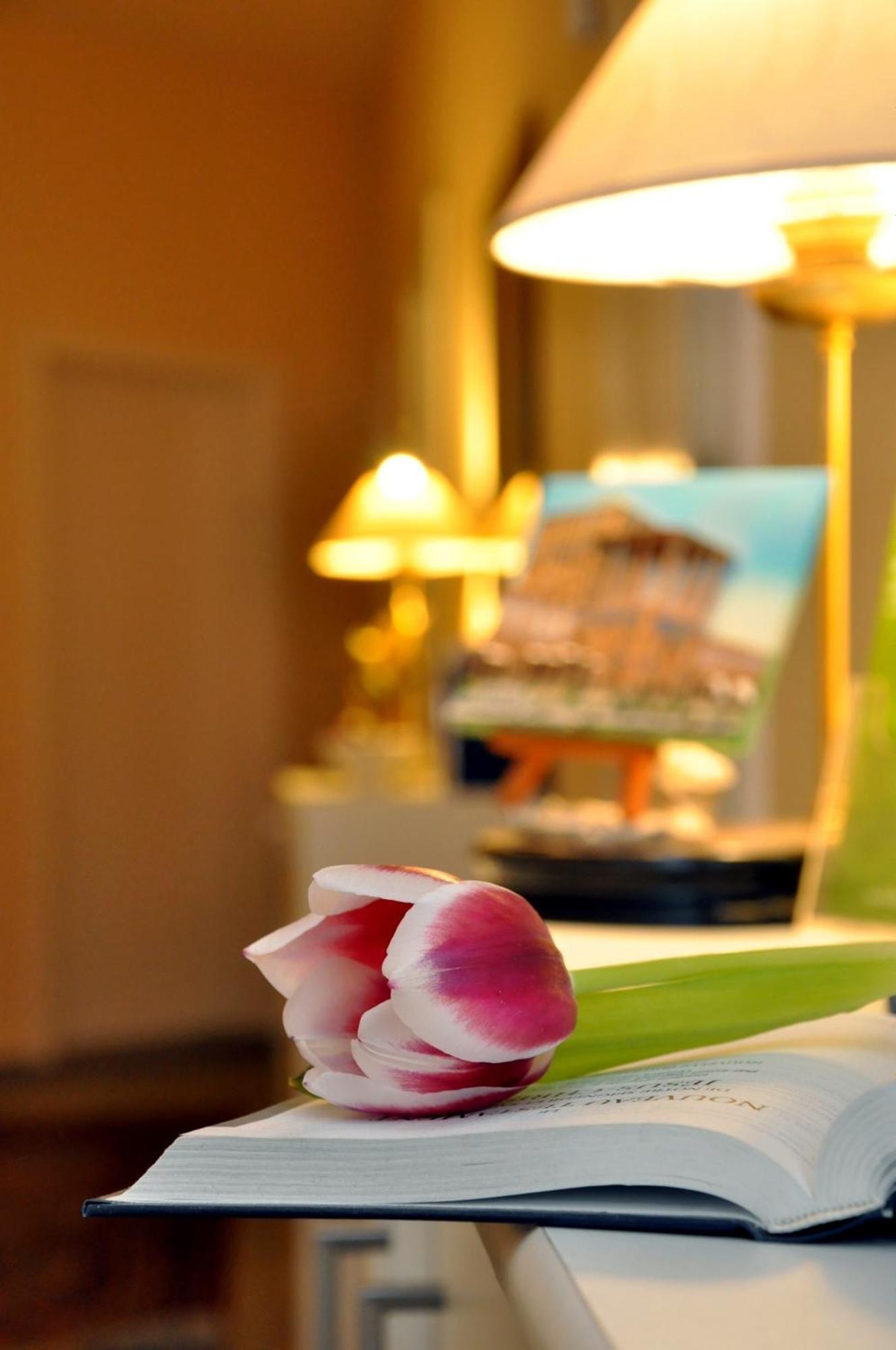 Hotel Apadana Frankfurt Франкфурт-на-Майне Экстерьер фото